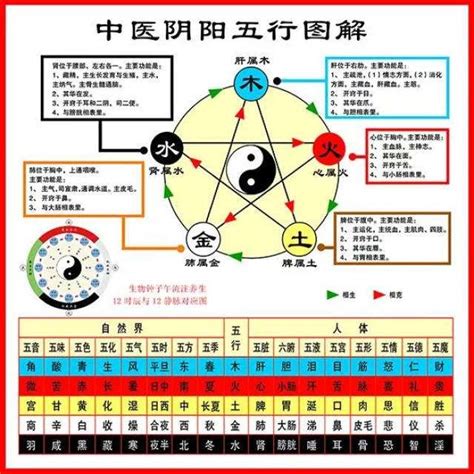 醫療 五行 屬性|中醫知識 